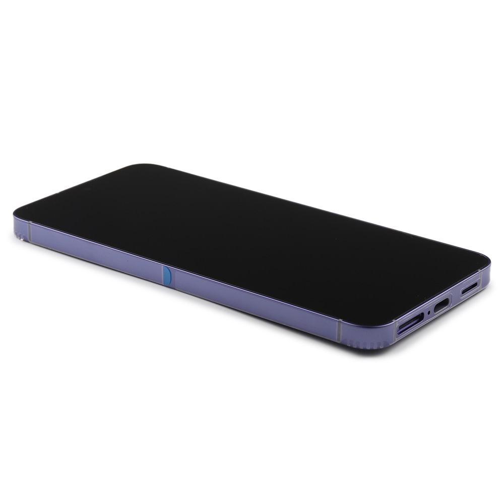 Samsung Scherm voor Galaxy S24 — Service Pack