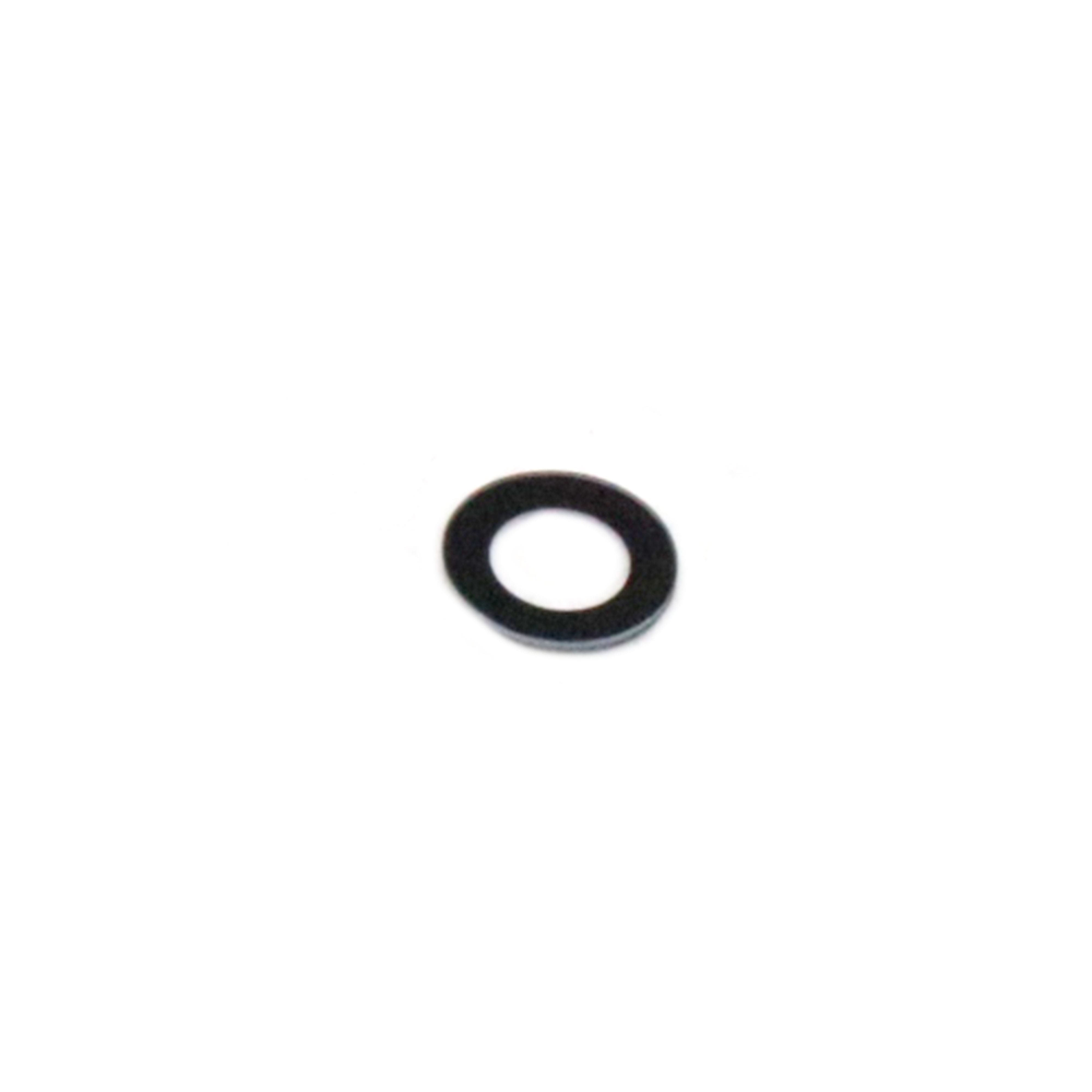 Apple Cameralens voor iPad Air 2 OEM-Equivalent
