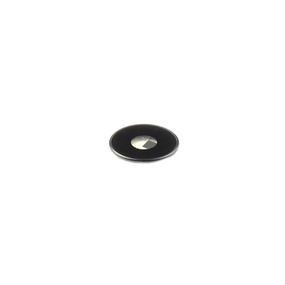 Apple Cameralens voor iPad Air 4 OEM-Equivalent